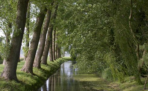 Landhaus Gut Halte Papenburg Zewnętrze zdjęcie